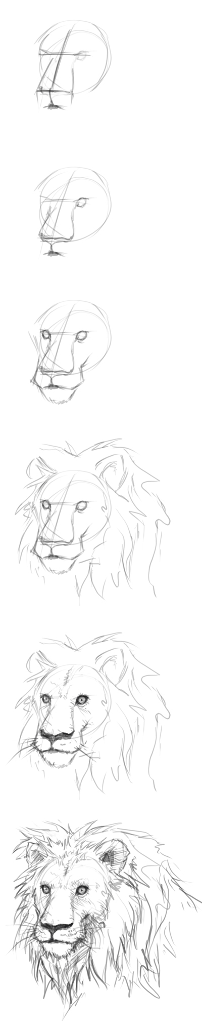 How to draw lion | Digital painting and drawing video tutorials ...