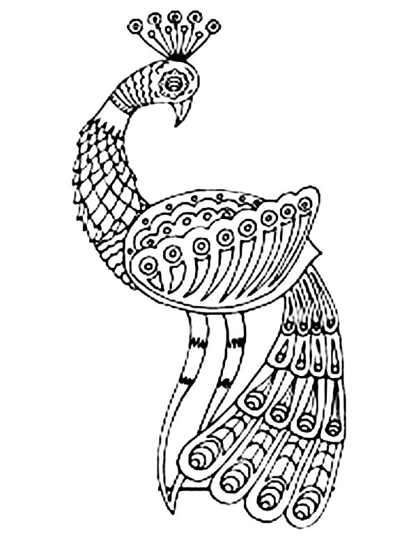 An Art Drawing of Glamorous Peacock Coloring Page | Kids Play Color