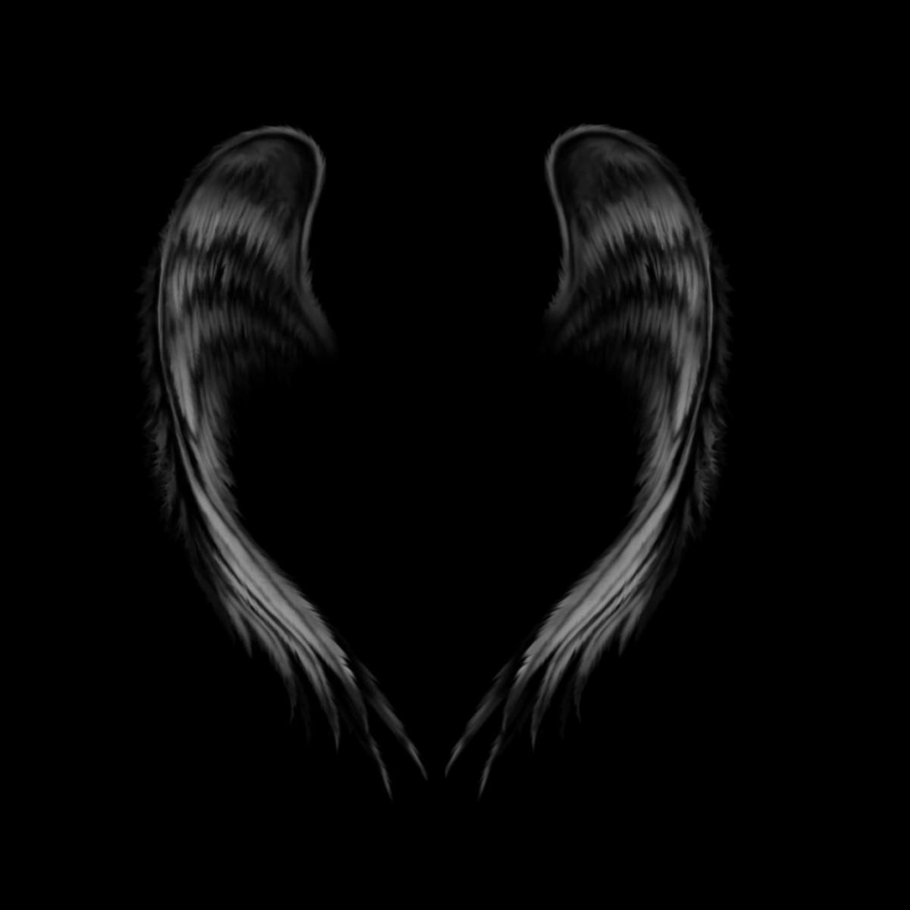 Group of: angel wings | We Heart It