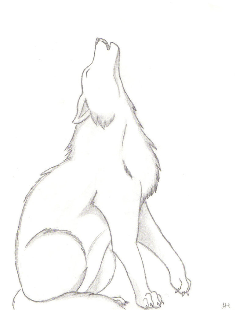 Easy Wolf Drawings Cliparts.co