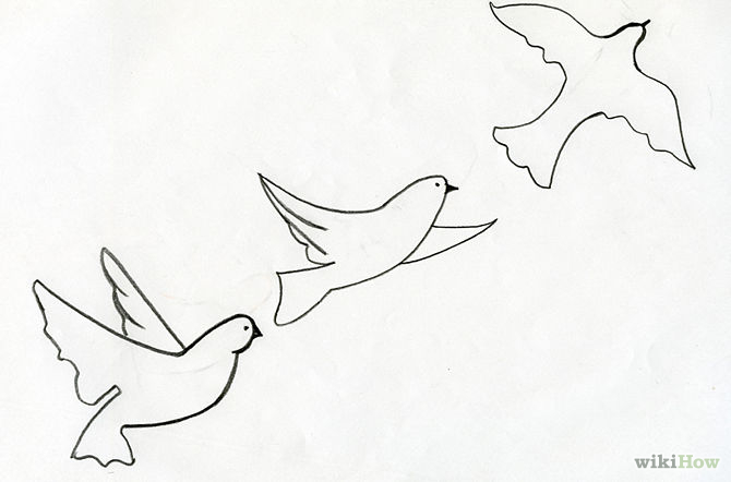 How to Draw Flying Birds: 5 Steps (with Pictures) - wikiHow