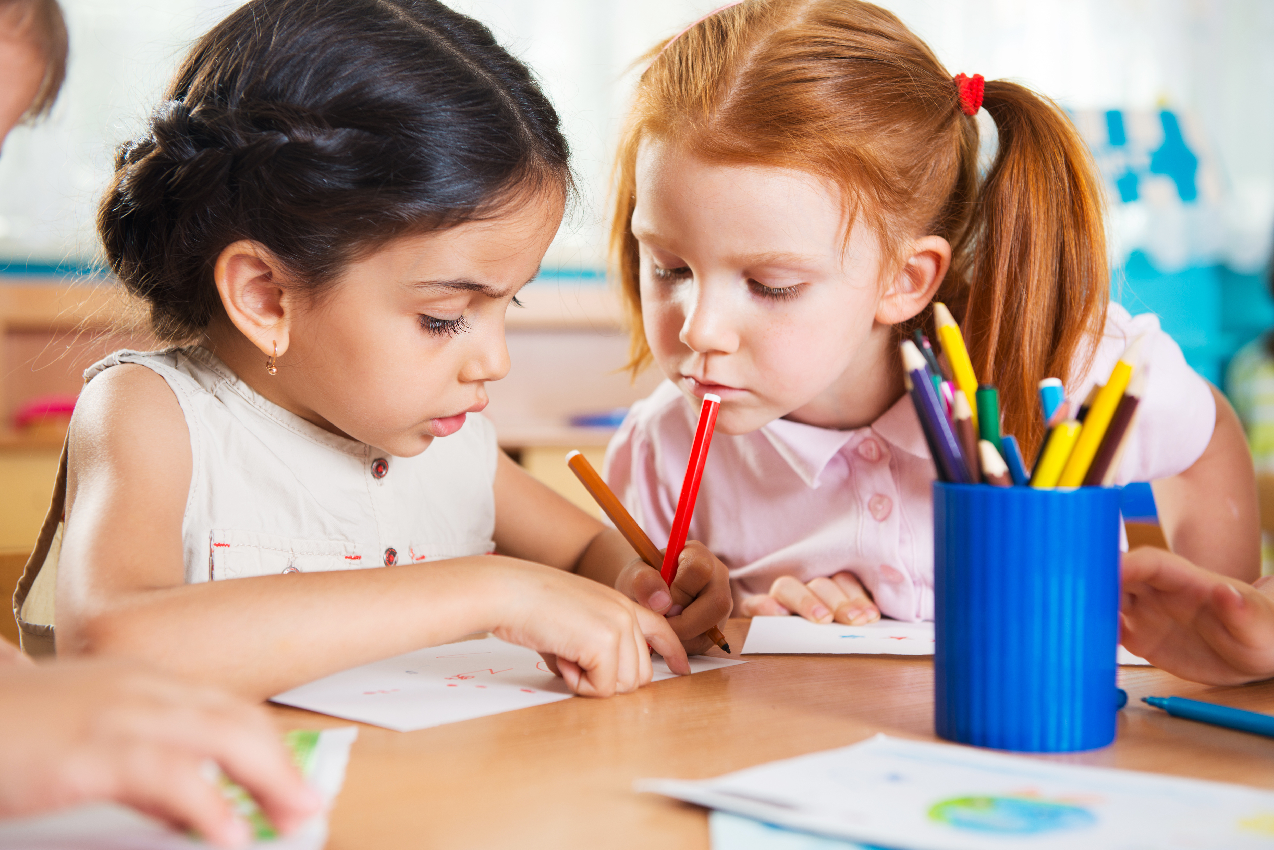 What Do Children Learn In Forest School