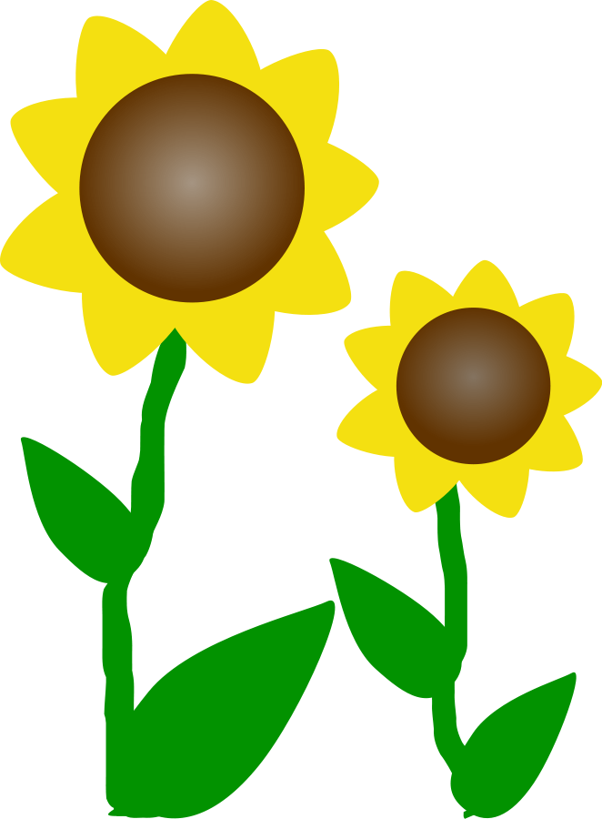 Cartoon Picture Of Sunf Flower
