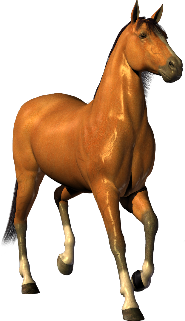 Free Horse Pictures - Cliparts.co