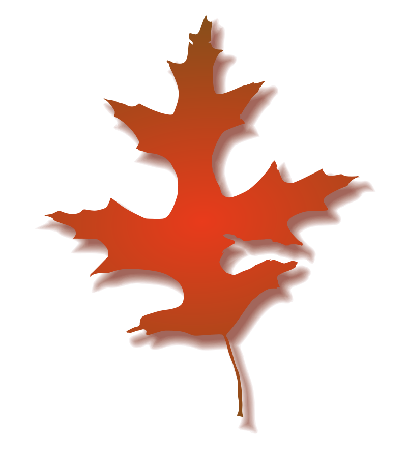 Clip Art Oak Leaf - Cliparts.co