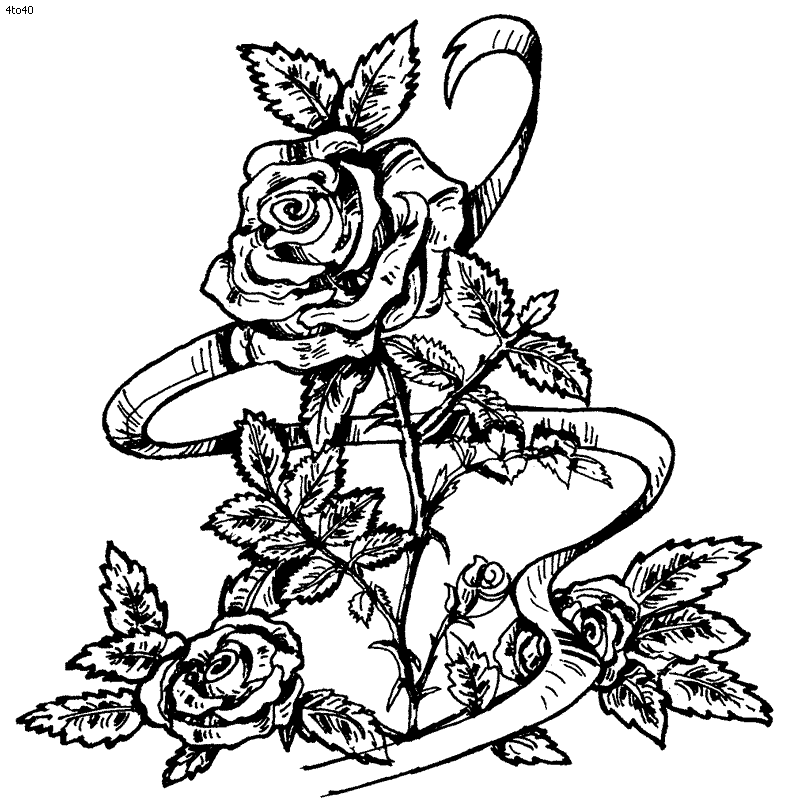 Valentines Day Roses Coloring Pages - Cute Love and Funny ...