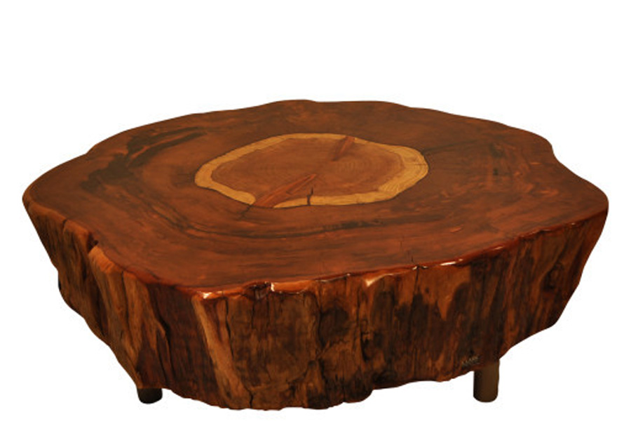 Tree Trunk Coffee Table | Coffee Tables