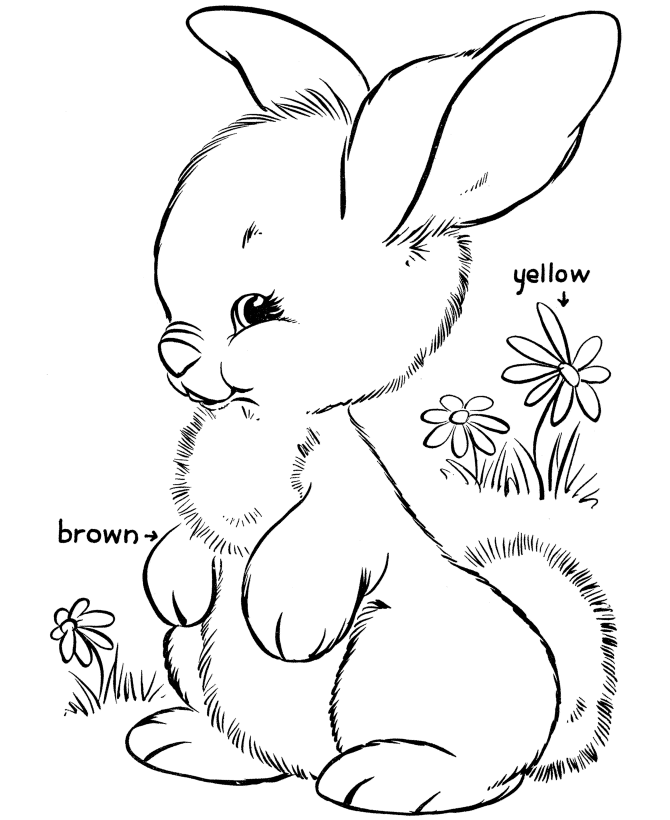 Pictxeer » Cute Bunny Coloring Pages
