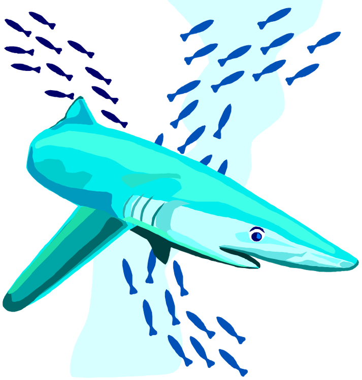 Free Shark Clipart
