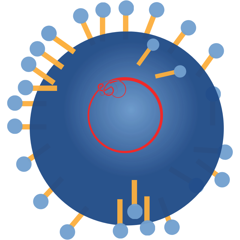Clipart - rna virus