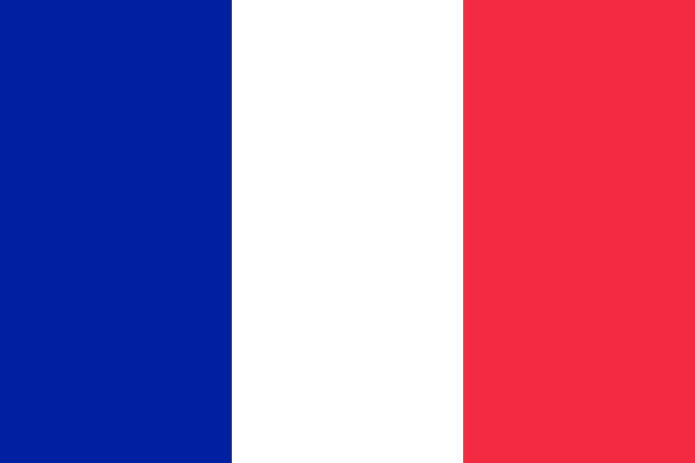 Flag Art Flag of France supercalifragilisticexpialidocious SVG ...