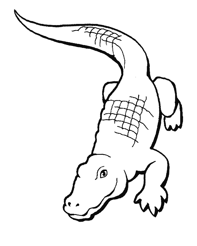 alley loos coloring book alligator | thingkid.