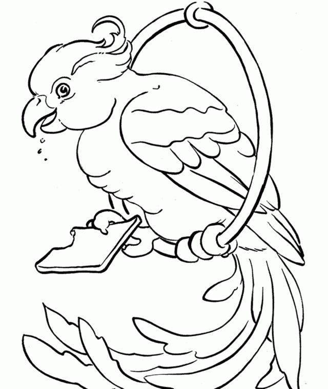 Download Parrot Bird Coloring Page Or Print Parrot Bird Coloring ...