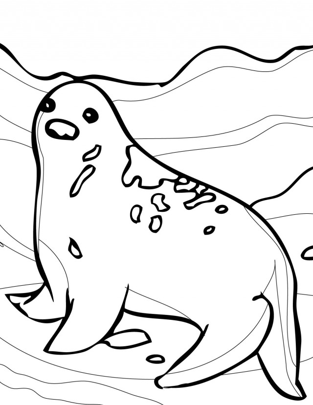 Arctic Animal Coloring Pages Www Sihaty ComFree Coloring Pages ...