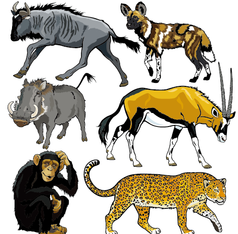 Vector set of wild animals design graphic 08 - Vector Animal free ...