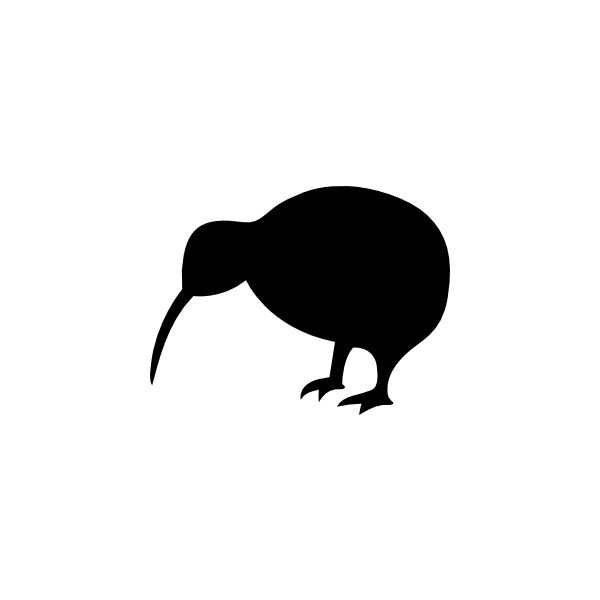Kiwi on Pinterest | 56 Pins