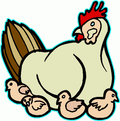 Chickens Clipart - ClipArt Best