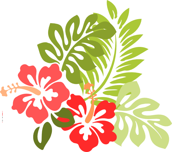 Hawaiian Flower Drawings | NewTattooDesigns