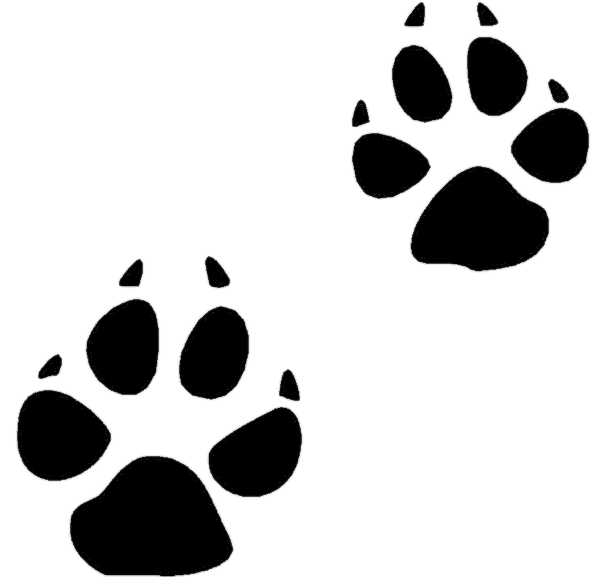 dog footprints clip art - photo #23