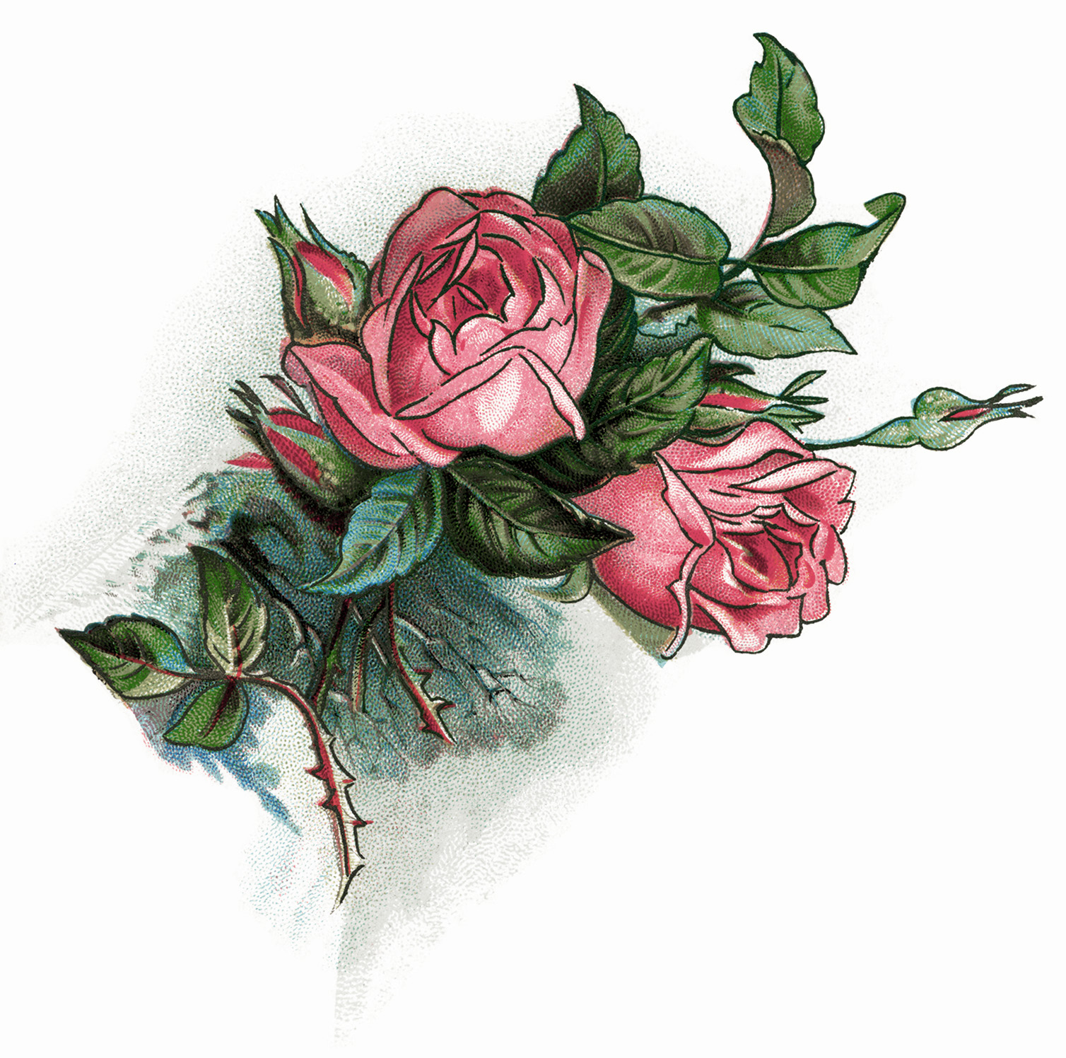 free clip art roses vintage - photo #24