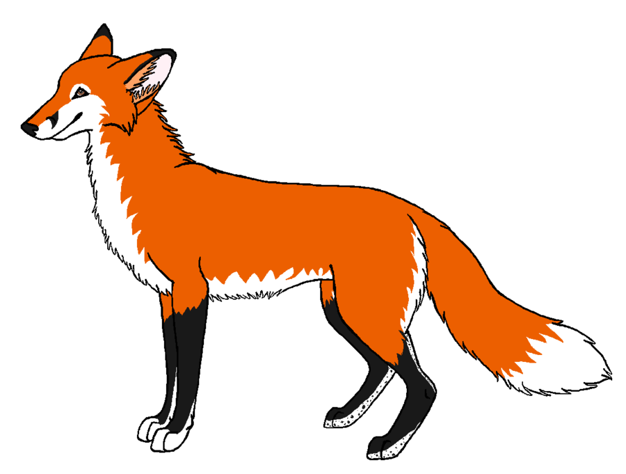 Red Fox Contest Entry by wolfforce58 on deviantART