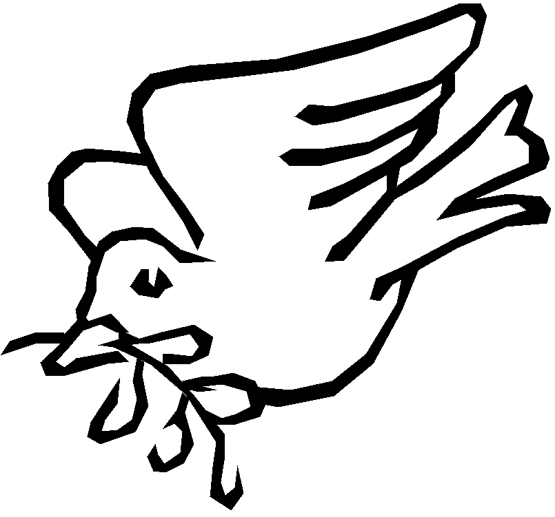 Dove Line Drawing