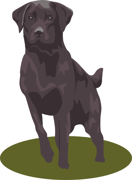 Labrador Retriever (black) clip art Free Vector / 4Vector
