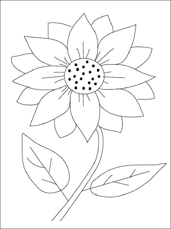 flower Page Printable Coloring Sheets | Sunflower coloring page ...