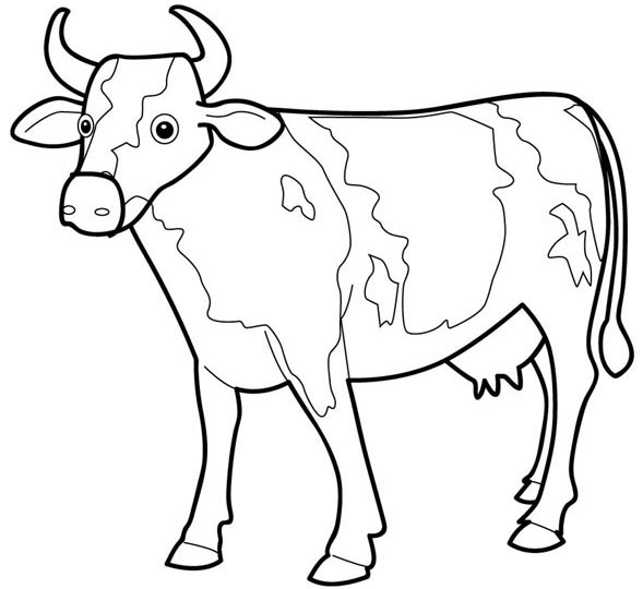 Cow Coloring Pages Of Animals | Tasty Pizza Coloring Pages Of Food ...