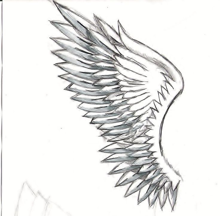 Wings Drawing on Pinterest | Angel Wings Drawing, Fairy Wings ...