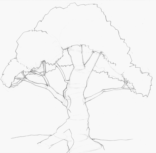how-to-draw-a-tree-step-2.jpg