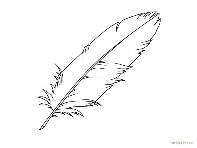 How to Draw a Feather: 8 Steps (with Pictures) - wikiHow