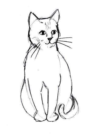 cat-drawing-4.jpg