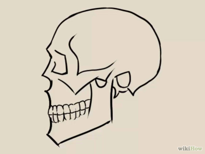 3 Ways to Draw a Skull - wikiHow
