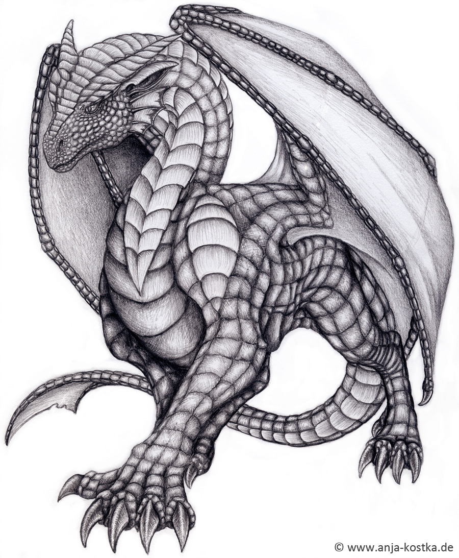 Dragon Head Drawing by ArkaEdri on DeviantArt