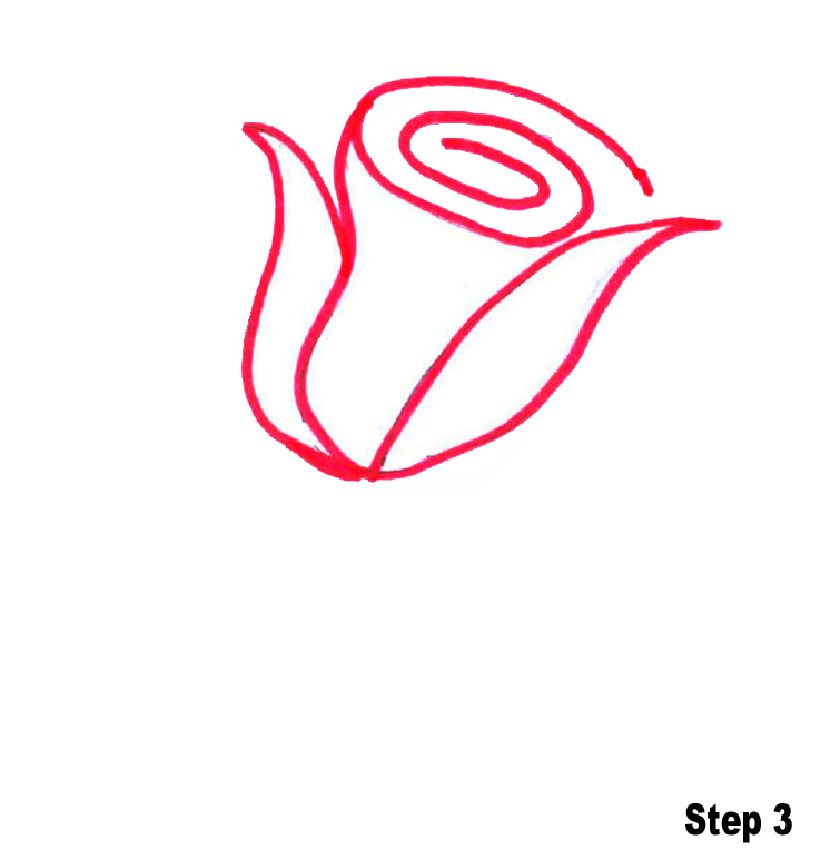 Simple Rose Outline Drawing Images & Pictures - Becuo