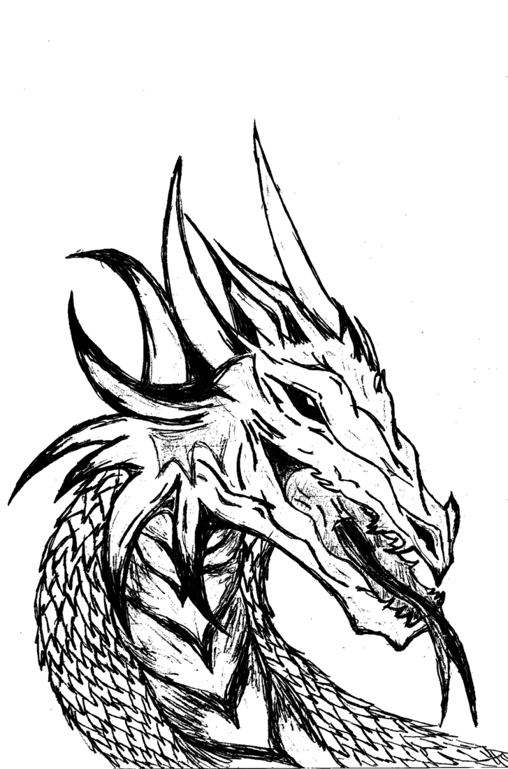 Dragon Black And White Cliparts.co