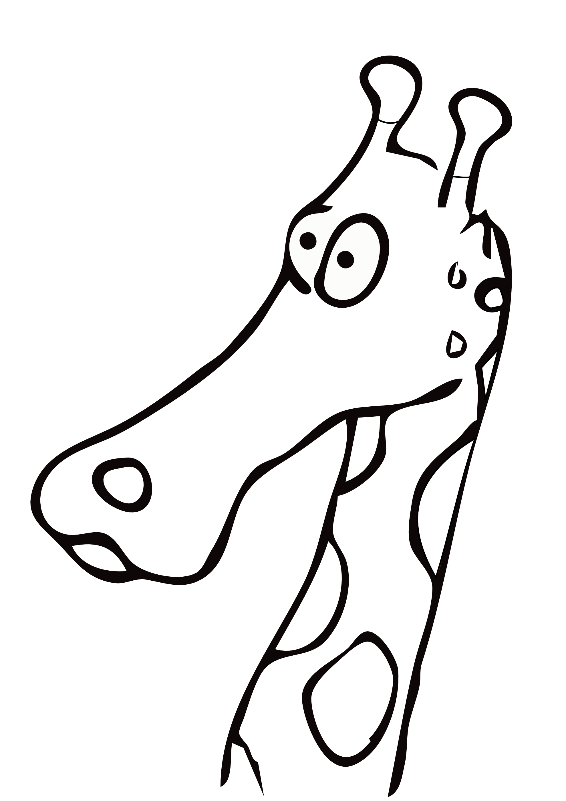 giraffe farbe drawn giraffe art sheet page black white line art ...