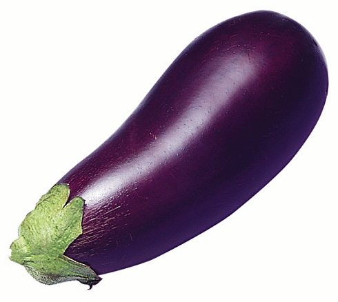 Free Eggplant Clipart. Free Clipart Images, Graphics, Animated ...