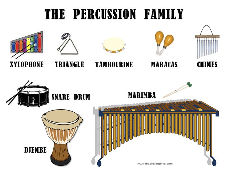 classroom instruments on Pinterest | Instruments, Musical ...