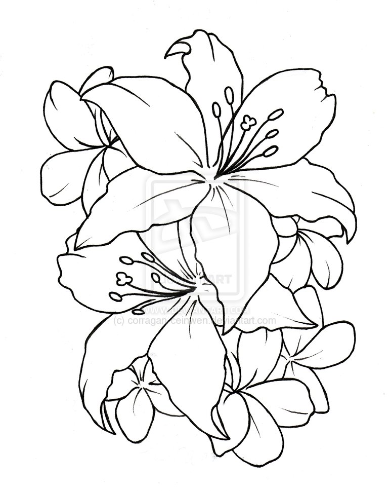 Flower Tattoos Designs & Ideas : Page 92
