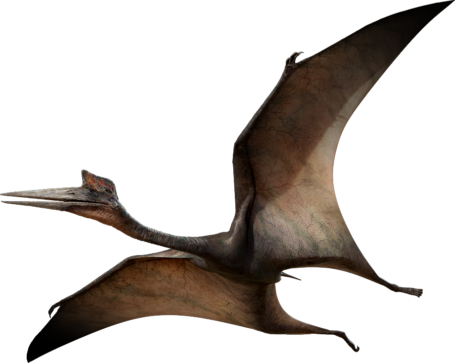 Quetzalcoatlus - Walking With Wikis - the free Walking with ...