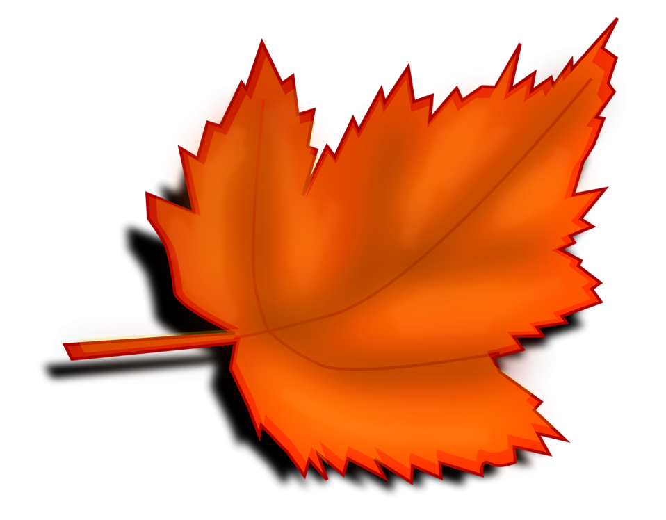 Free Stock Photos | Illustration of an orange autumn leaf ...