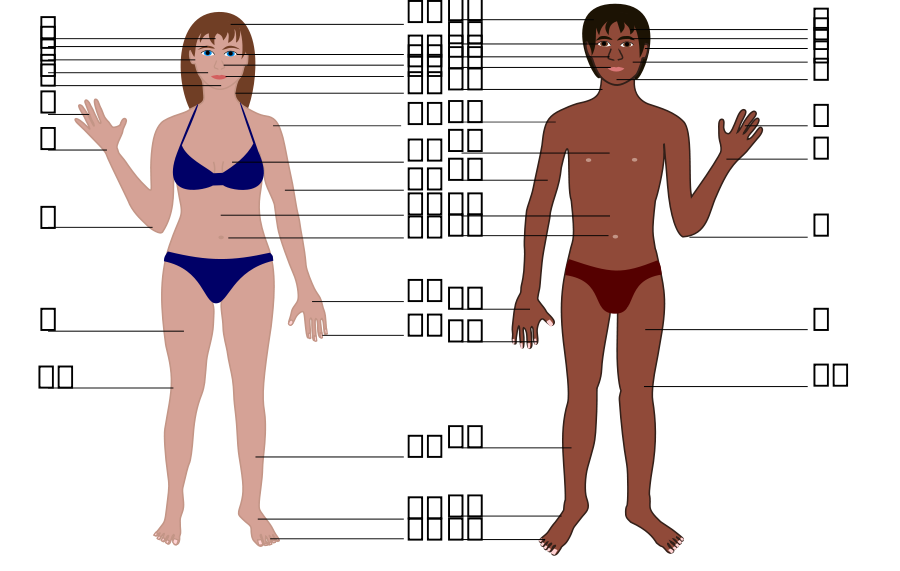 Human body both genders with Numbers Clipart, vector clip art ...