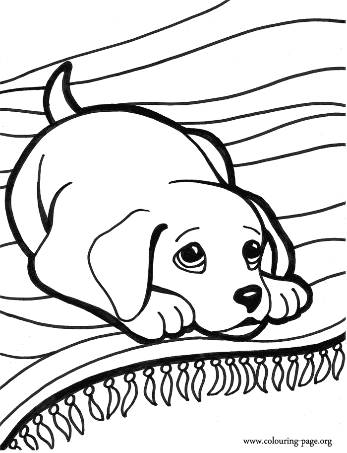 dogs and puppies little dog on the carpet coloring page | thingkid.
