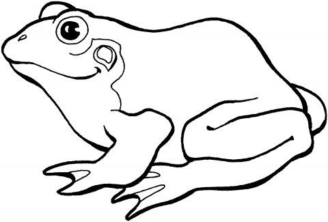 Frog Outline Template - ClipArt Best
