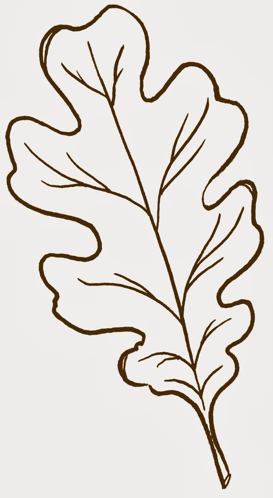 clip art oak leaf outline - photo #31