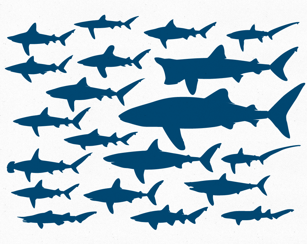 Free Vector File – 20 Shark Silhouettes | The Creative Portfolio ...