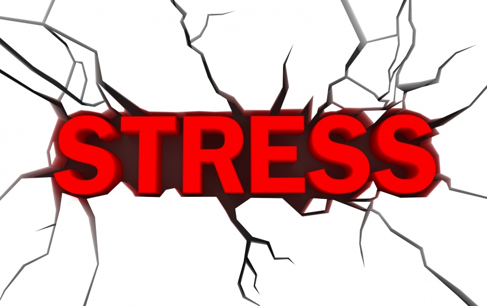 Stress sucks! How women respond differently than men and how we ...