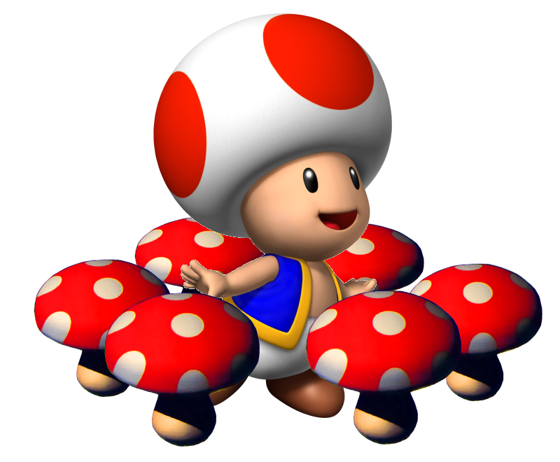 Image Sm64ds Toadpng Fantendo The Nintendo Fanon Wiki 9115